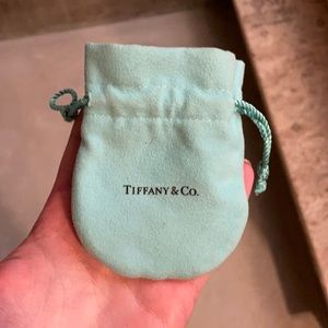 Tiffany dust bag